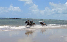 Brazil-Rio Grande do Norte-Brazilian Beaches on Mangalarga Marchador